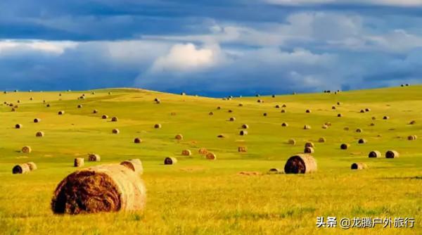 我們如此熱愛內蒙古