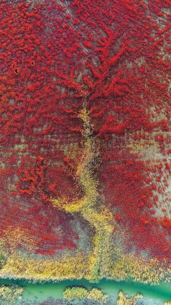 第一站,黃河入海口! 第一站,黃河入海口!