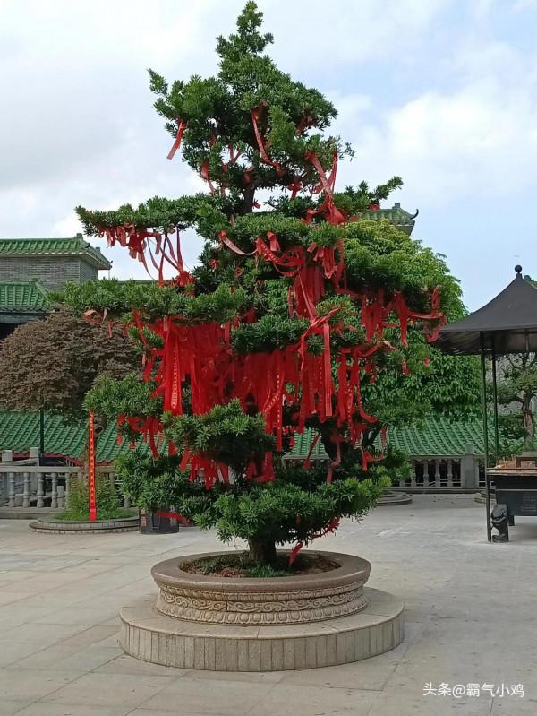 一個四肢健全的人，連自力更生的生存能力都沒有？