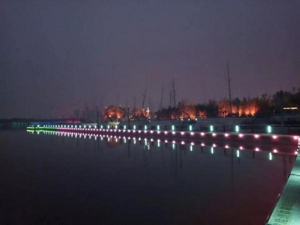 夜色龍子湖，燈火耀蒼穹。亦真亦幻