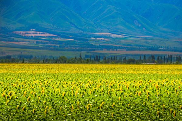 超出你想象的空中草原
