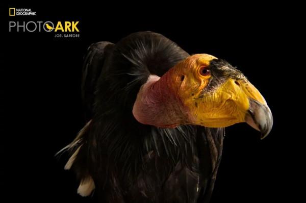 為什麼要保護這麼卑鄙的東西? 為什麼要保護這麼卑鄙的東西?