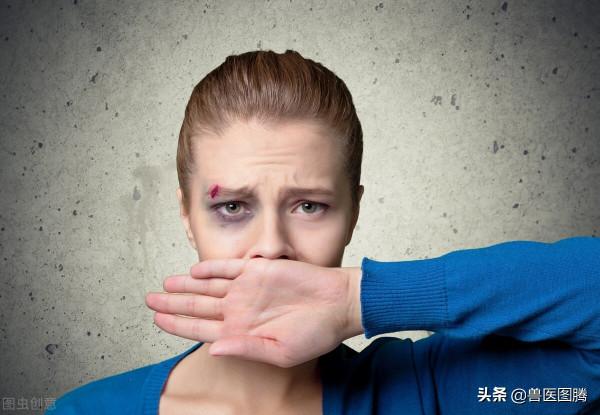 養豬常用的“頭孢”,五個“首選”、兩個“必須”,看看你知道嗎 養豬常用的“頭孢”,五個“首選”、兩個“必須”,看看你知道嗎