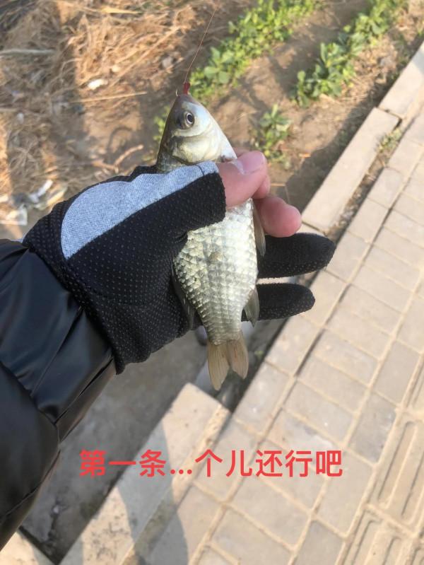 2020年1月3日第一回野釣