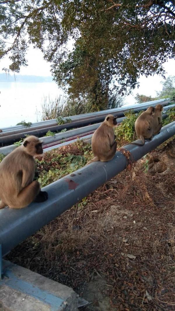 第一次拜訪印度普通人家，印度少女對我深情一笑