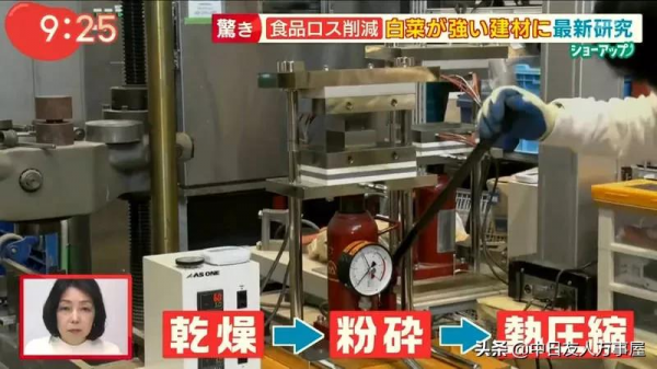 用白菜蓋房子，當作建材是混凝土的４倍，不但環保還可以拿來吃？