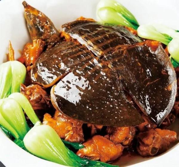 大叔深山養殖:八萬只團魚,兩三年過後,讓他大賺了三千六百萬元 大叔深山養殖:八萬只團魚,兩三年過後,讓他大賺了三千六百萬元