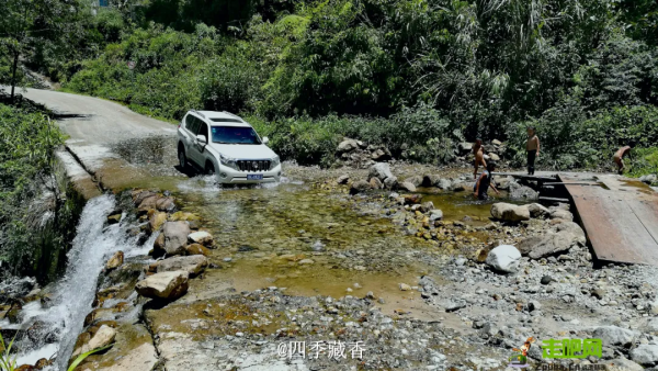 全球最美公路在中國！10065公里世界級大道，​從雪域高原到海洋