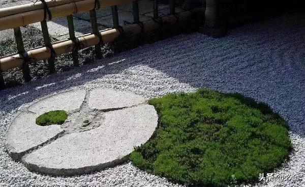 那些比草坪還美的鋪地植物