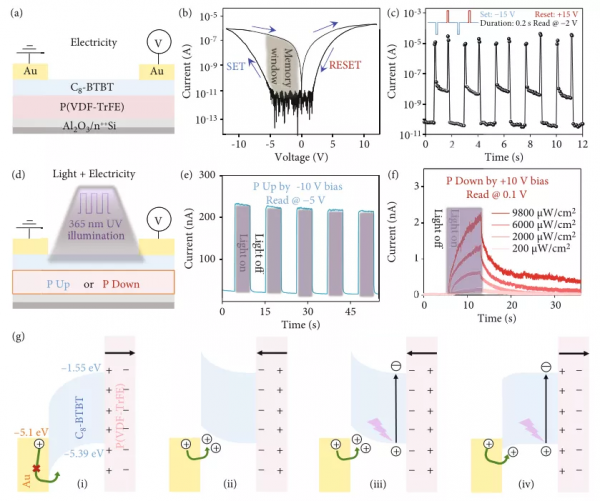&OpenCurlyDoubleQuote;市場&plus;政府&rdquo;，以內外雙驅動構建中國海洋碳匯交易市場