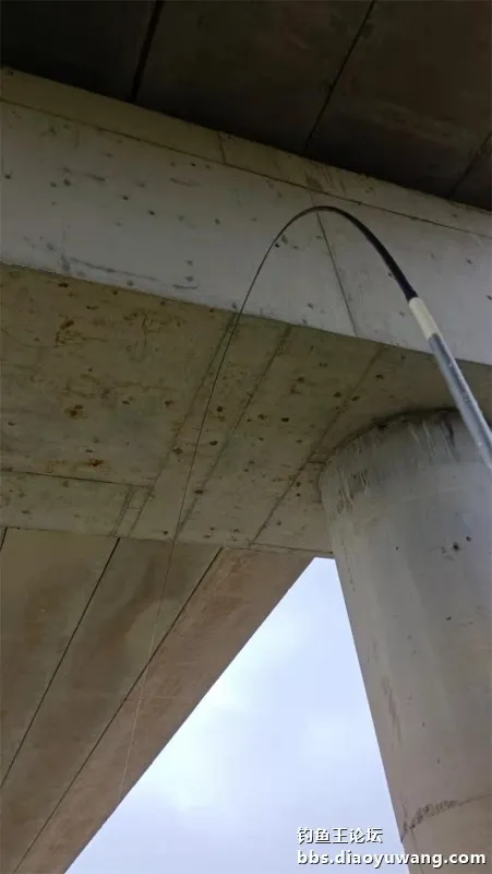 秋風秋雨釣秋水,大風大浪搏大鯉 秋風秋雨釣秋水,大風大浪搏大鯉