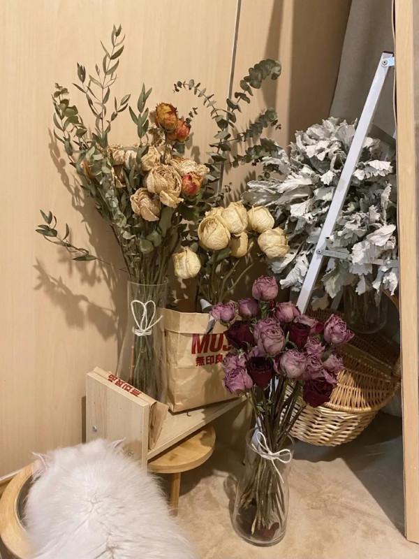 乾花晾制教程 乾花晾制教程