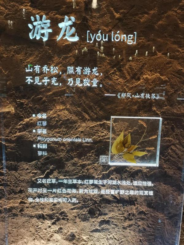 北京世園公園中國館