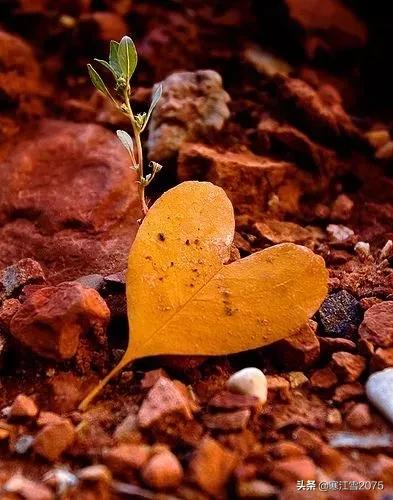 涵育有趣的靈魂,一定要多讀閒書 涵育有趣的靈魂,一定要多讀閒書