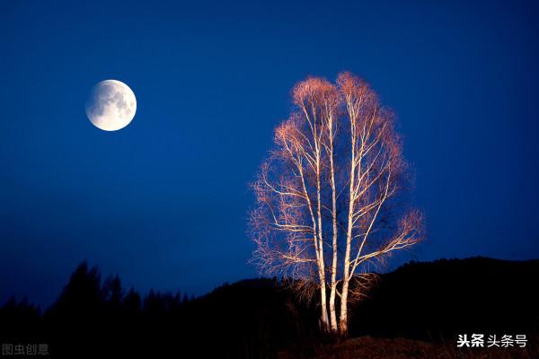釣魚人的那些事兒(三)…奇怪的釣友 釣魚人的那些事兒(三)…奇怪的釣友
