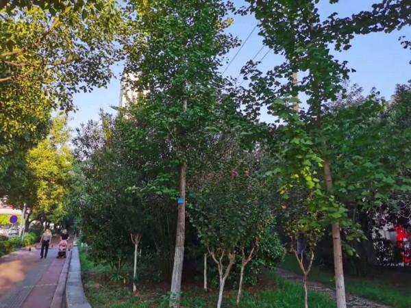 當孩子覺得父母不愛自己,其實是父母根本不知道怎麼愛自己 當孩子覺得父母不愛自己,其實是父母根本不知道怎麼愛自己