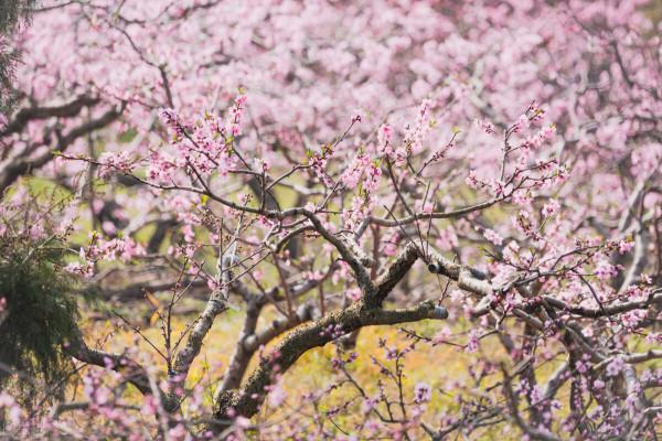 待到春冬相交時，相約釣魚去