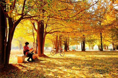 深秋到來，燥邪襲肺，如何緩解燥咳帶來的不適症狀？