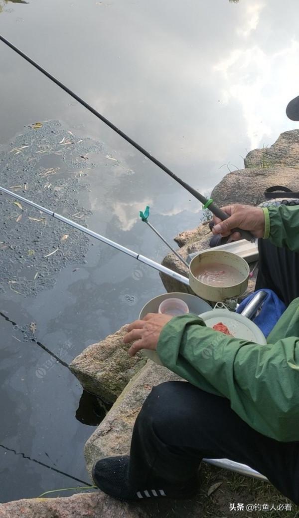 向高齡釣友請教的“搖三搖”釣法，毫無保留的分享給大家