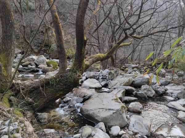 成驢之路：一日大寺，雪厚路長，路線：光頭山-大寺-高冠峪