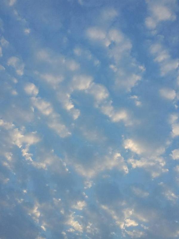 民間故事：妻子變成了蛇