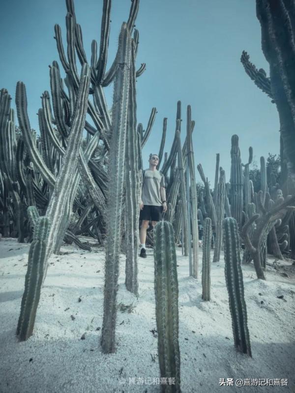 去了八次廈門之後，告訴你這30件事最值得