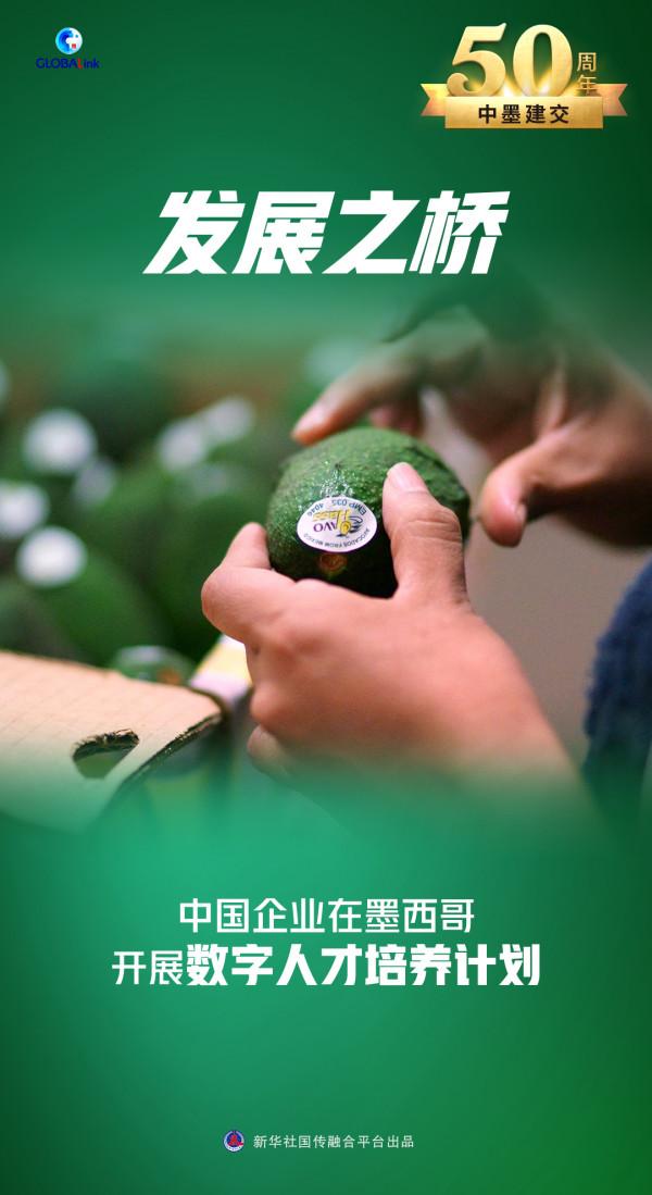 建交50年，聯通中墨的那些&OpenCurlyDoubleQuote;橋&rdquo;