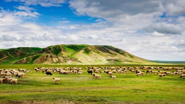 新疆,一個美麗而神秘的世外桃源,隨處都是讓人流連忘返的美景 新疆,一個美麗而神秘的世外桃源,隨處都是讓人流連忘返的美景