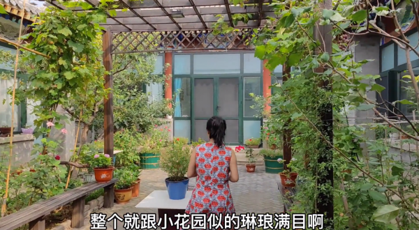 北京大爺把四合院裝成小田園 家裡收藏的青花瓷價值上億