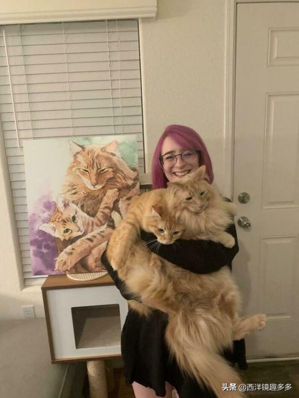 看了這些照片,你可得再要一隻貓了 看了這些照片,你可得再要一隻貓了