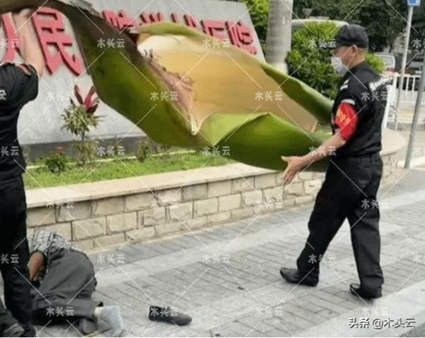 城市綠化的回收木材製成的傢俱