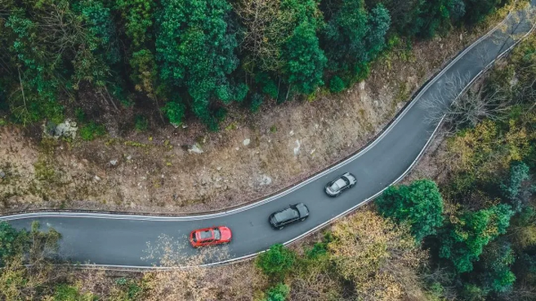 700年神秘古村落意外走紅！霧海竹林萬畝，24h鮮氧環繞，宛若仙境