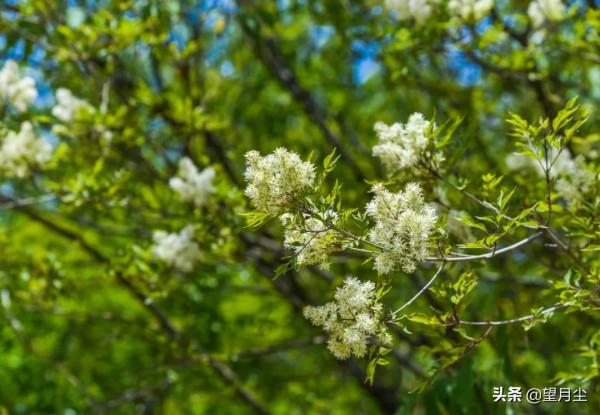 《南太行春遊記》（二）避世郭亮行路遠，掛壁公路九道彎