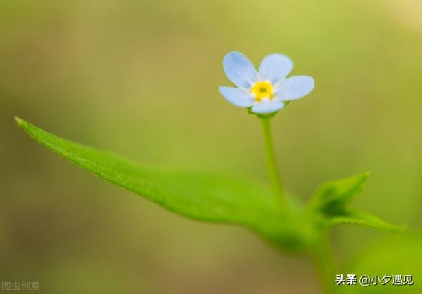 微型劇本:退份子錢 微型劇本:退份子錢