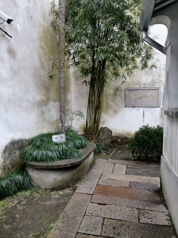 烏鎮千年水木年華，首屆奇葩鍾靈毓秀