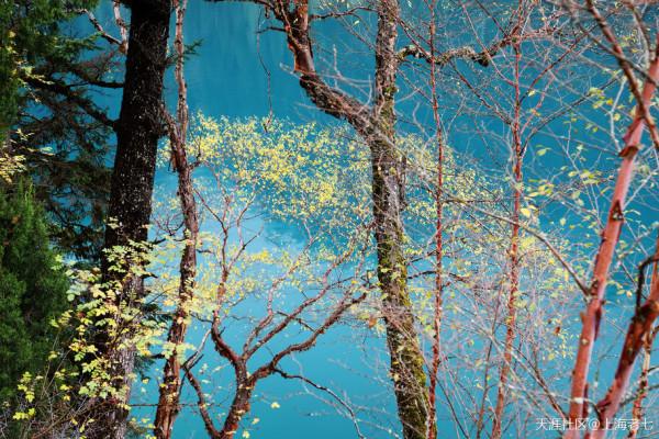 別人的生活:退休了 開始自駕遊 別人的生活:退休了 開始自駕遊