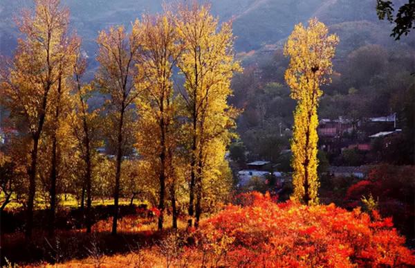 看一看！京西最美的16條登山步道，在京人士的週末有著落了