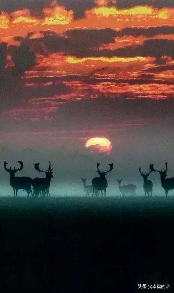 五彩繽紛的世界 五彩繽紛的世界