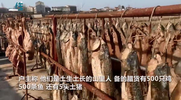 臘味十足，農戶院中曬500只雞、500條魚、5頭豬，網友看到流口水