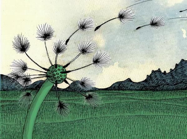 父母是股權不斷稀釋的小股東 父母是股權不斷稀釋的小股東