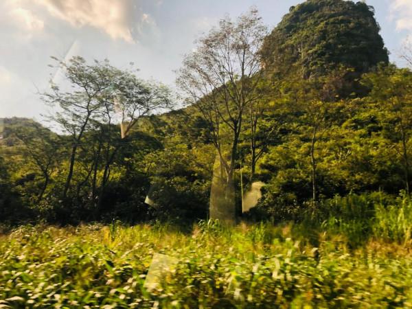 壯鄉好風光，長壽看這裡