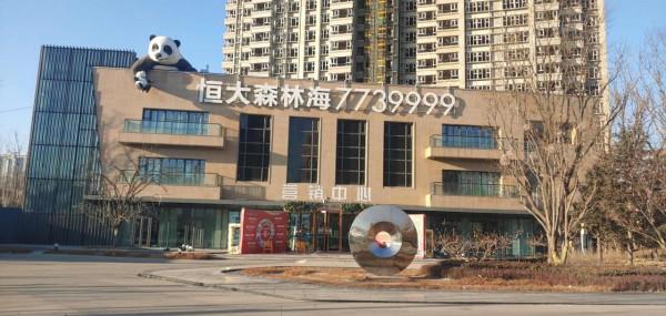 恆大森林海探班