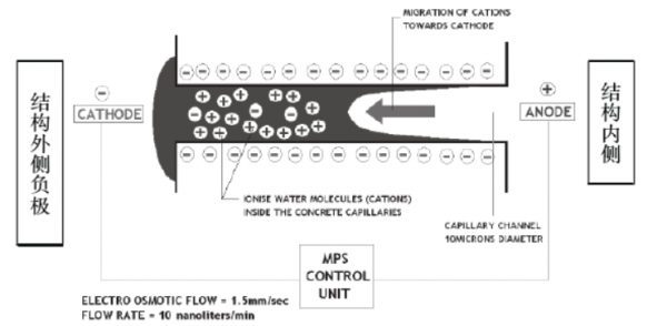 什麼樣的防潮防黴的方法，一勞永逸解決“潮溼發黴”？