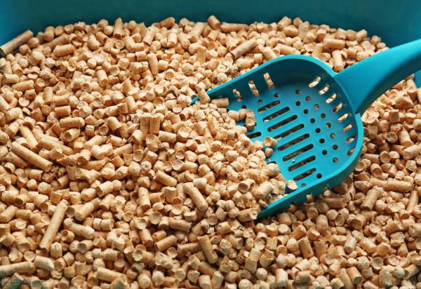 你的朋友養花用貓砂?還不知道的養花小秘密,趕快來了解一下 你的朋友養花用貓砂?還不知道的養花小秘密,趕快來了解一下