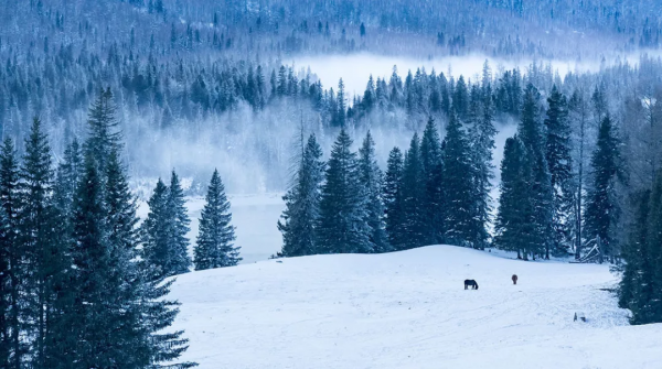 2021年，新疆非去不可，新疆怎麼玩，看完這一篇就夠了