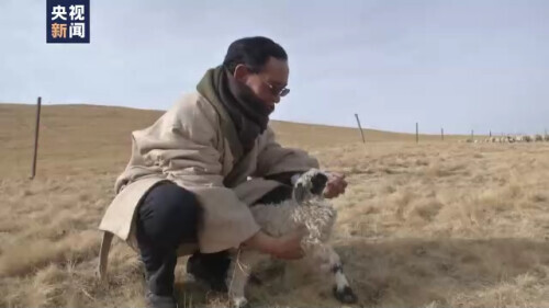 我們的2021丨新起點新徵程 繪就鄉村振興新圖景