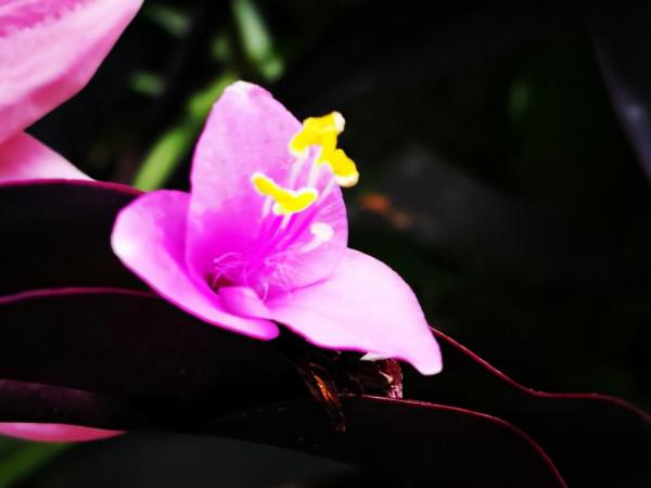 看清一個人,三件事就夠了 看清一個人,三件事就夠了