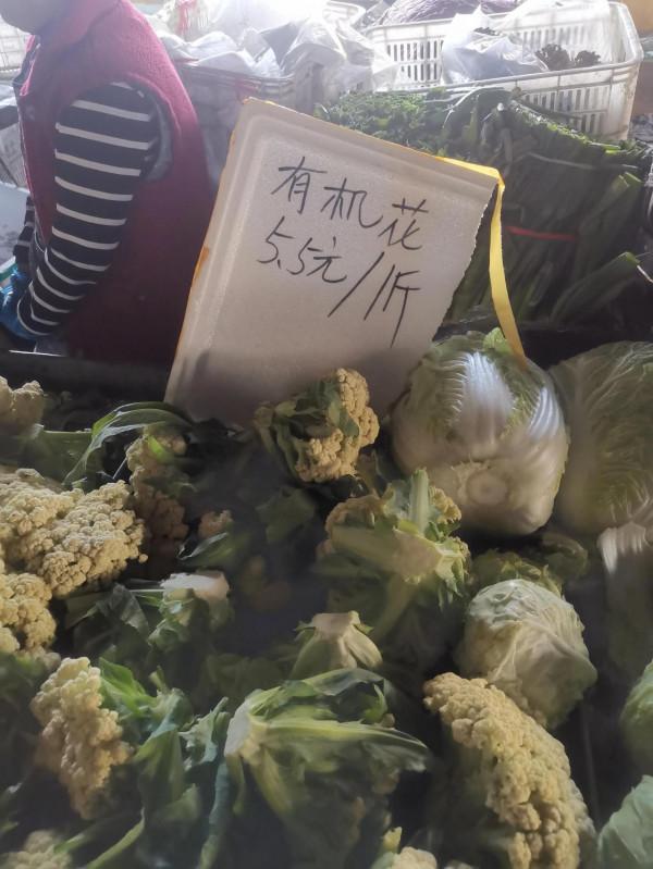 菜價為什麼上漲