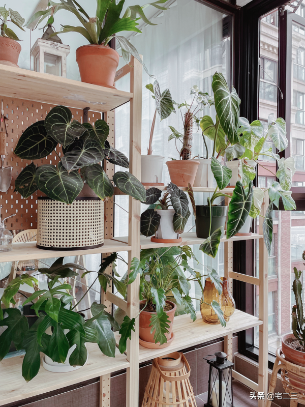 恐婚？不存在的，95後小紅書博主打造焦糖色的&OpenCurlyDoubleQuote;四口之家&rdquo;