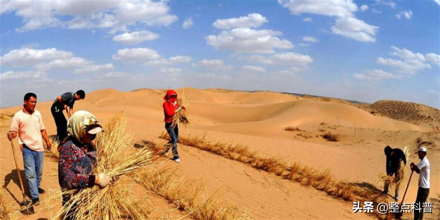 中國第一個將消失的沙漠：面積比海南島還大，80％沙漠已變成綠洲